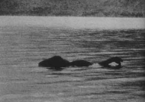 lochness