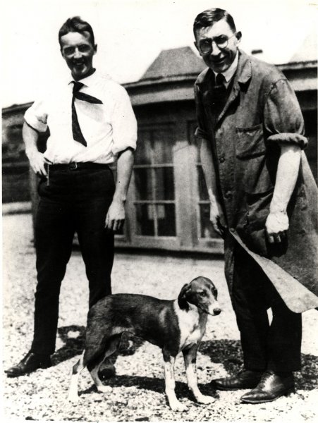 Az inzulin alkalmazói