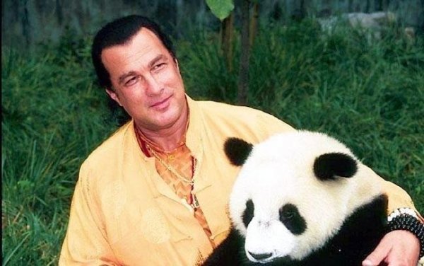 steven-seagal